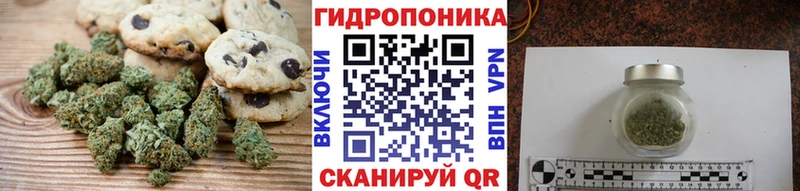OMG зеркало  Вичуга  Еда ТГК марихуана 