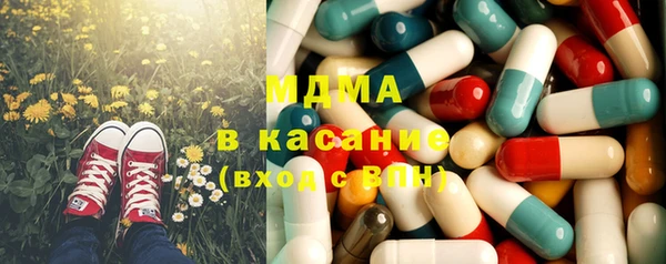 прущие грибы Бородино
