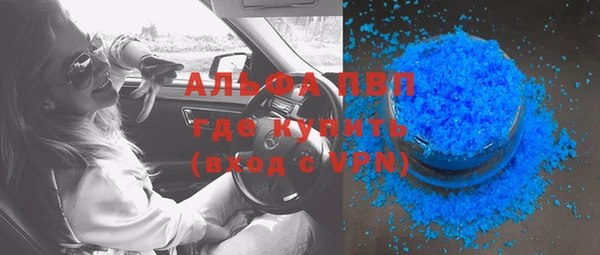 сатива Мурманск